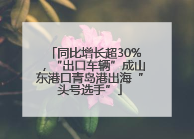 同比增长超30%，“出口车辆”成山东港口青岛港出海“头号选手”