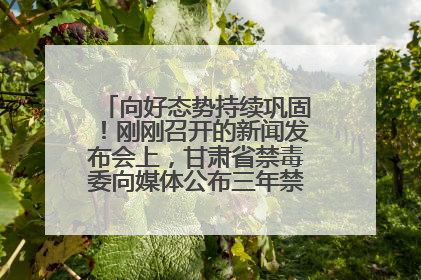 向好态势持续巩固！刚刚召开的新闻发布会上，甘肃省禁毒委向媒体公布三年禁毒工作“成绩单”