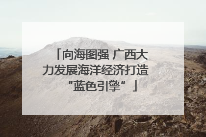 向海图强 广西大力发展海洋经济打造“蓝色引擎”