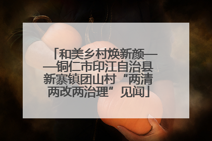 和美乡村焕新颜——铜仁市印江自治县新寨镇团山村“两清两改两治理”见闻