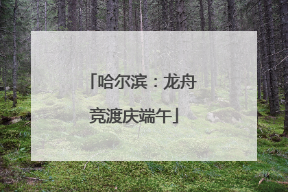 哈尔滨：龙舟竞渡庆端午