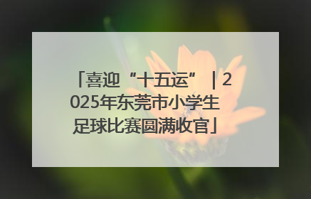 喜迎“十五运”｜2025年东莞市小学生足球比赛圆满收官