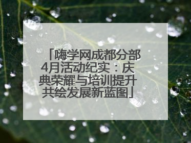 嗨学网成都分部4月活动纪实：庆典荣耀与培训提升共绘发展新蓝图