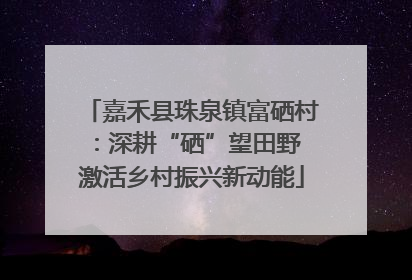 嘉禾县珠泉镇富硒村：深耕“硒”望田野 激活乡村振兴新动能