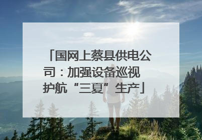 国网上蔡县供电公司：加强设备巡视 护航“三夏”生产