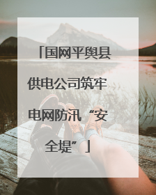 国网平舆县供电公司筑牢电网防汛“安全堤”