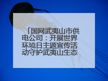 国网武夷山市供电公司：开展世界环境日主题宣传活动守护武夷山生态“高颜值”