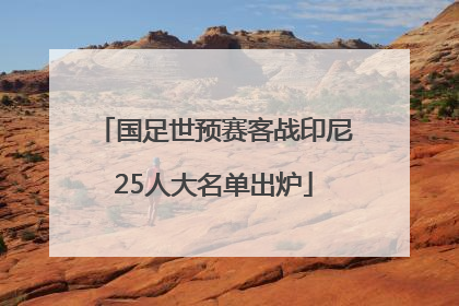 国足世预赛客战印尼25人大名单出炉