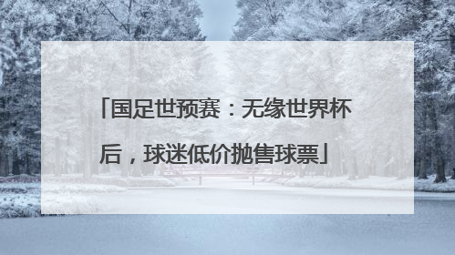 国足世预赛：无缘世界杯后，球迷低价抛售球票