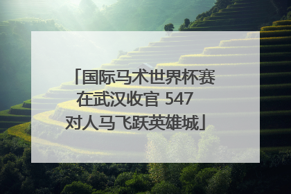 国际马术世界杯赛在武汉收官 547对人马飞跃英雄城