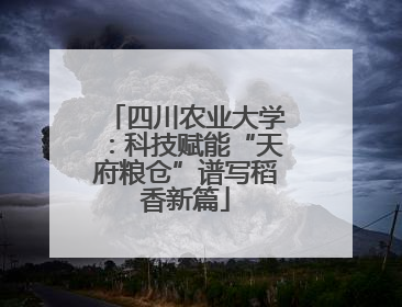 四川农业大学：科技赋能“天府粮仓”谱写稻香新篇