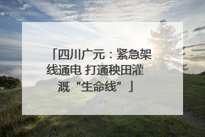 四川广元：紧急架线通电 打通秧田灌溉“生命线”