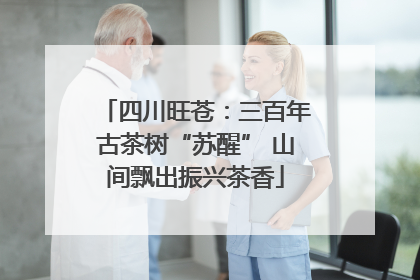 四川旺苍：三百年古茶树“苏醒” 山间飘出振兴茶香