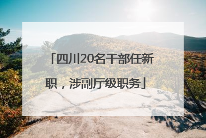 四川20名干部任新职，涉副厅级职务