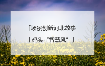 场景创新河北故事丨码头“智慧风”