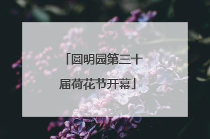 圆明园第三十届荷花节开幕