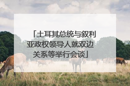 土耳其总统与叙利亚政权领导人就双边关系等举行会谈