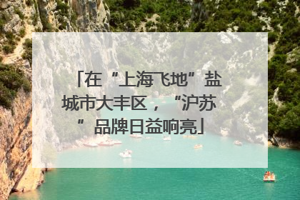在“上海飞地”盐城市大丰区，“沪苏”品牌日益响亮
