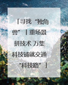 寻找“独角兽”丨重场景拼技术 万集科技铺就交通“科技路”