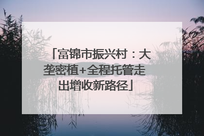 富锦市振兴村：大垄密植+全程托管走出增收新路径