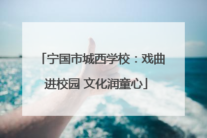 宁国市城西学校：戏曲进校园 文化润童心