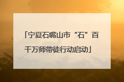 宁夏石嘴山市“石”百千万师带徒行动启动