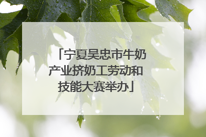 宁夏吴忠市牛奶产业挤奶工劳动和技能大赛举办