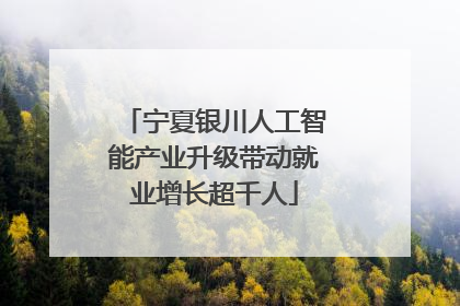 宁夏银川人工智能产业升级带动就业增长超千人