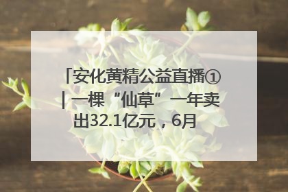 安化黄精公益直播①｜一棵“仙草”一年卖出32.1亿元，6月26日10:00新湖南直播揭秘安化黄精变黄金的“密码”