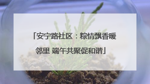 安宁路社区：粽情飘香暖邻里 端午共聚促和谐
