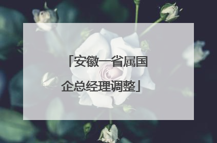 安徽一省属国企总经理调整