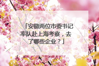 安徽两位市委书记率队赴上海考察，去了哪些企业？