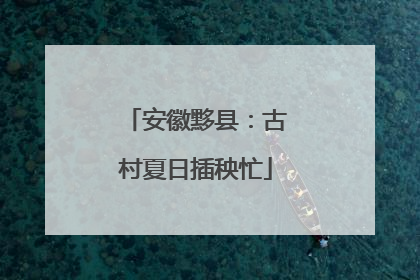 安徽黟县：古村夏日插秧忙