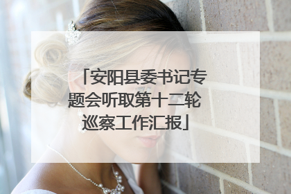 安阳县委书记专题会听取第十二轮巡察工作汇报