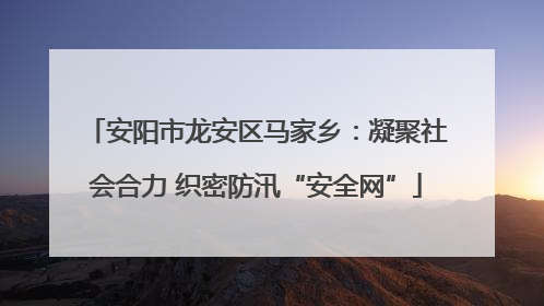 安阳市龙安区马家乡：凝聚社会合力 织密防汛“安全网”
