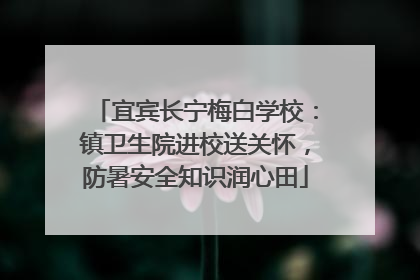 宜宾长宁梅白学校：镇卫生院进校送关怀，防暑安全知识润心田