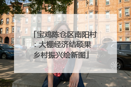 宝鸡陈仓区南阳村：大棚经济结硕果 乡村振兴绘新图