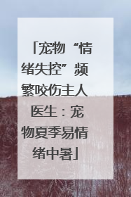 宠物“情绪失控”频繁咬伤主人 医生：宠物夏季易情绪中暑