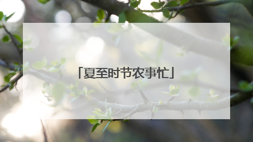 夏至时节农事忙