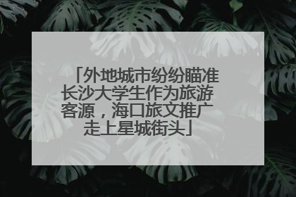 外地城市纷纷瞄准长沙大学生作为旅游客源，海口旅文推广走上星城街头