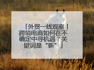 外贸一线观察丨跨境电商如何在不确定中寻机遇？关键词是“新”