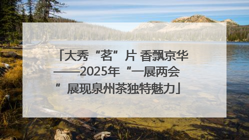 大秀“茗”片 香飘京华——2025年“一展两会”展现泉州茶独特魅力