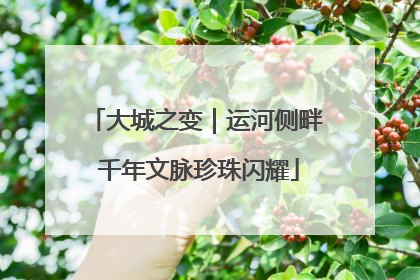 大城之变｜运河侧畔 千年文脉珍珠闪耀
