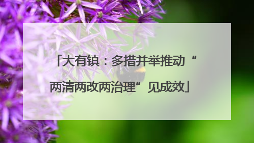 大有镇：多措并举推动“两清两改两治理”见成效