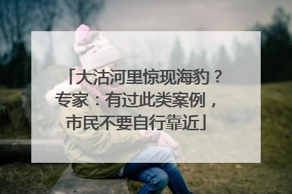 大沽河里惊现海豹？专家：有过此类案例，市民不要自行靠近