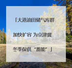 大港油田储气库群加快扩容 为京津冀冬季保供“蓄能”