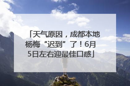天气原因，成都本地杨梅“迟到”了！6月5日左右迎最佳口感