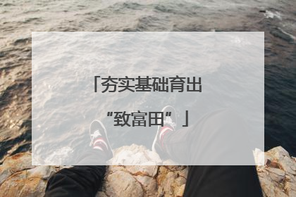 夯实基础育出“致富田”