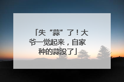 失“蒜”了！大爷一觉起来，自家种的蒜没了