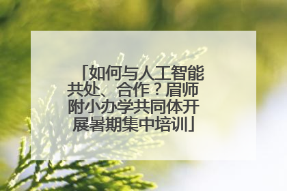 如何与人工智能共处、合作？眉师附小办学共同体开展暑期集中培训